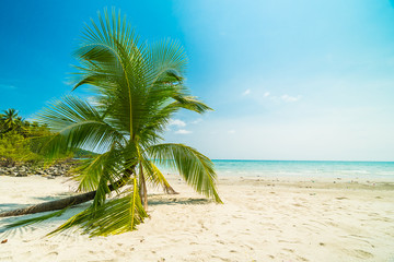 Obraz na płótnie Canvas Beautiful nature tropical beach and sea with coconut palm tree on paradise island