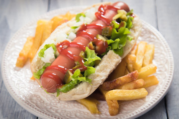 Classic american hot dog