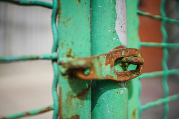 Closed old fence mesh