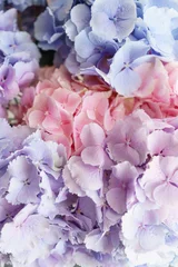 Photo sur Plexiglas Hortensia belles fleurs d& 39 hortensia dans un vase sur une table. Bouquet de fleur bleu clair, lilas et rose. Décoration de maison. Fond d& 39 écran et arrière-plan. Photo verticale