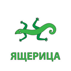 Cartoon Lizard Flashcard for Children