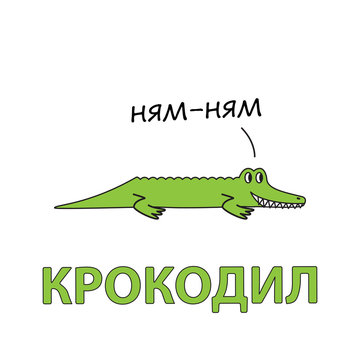 Cartoon Alligator Flashcard for Children