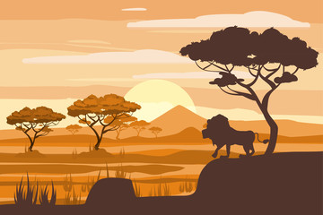 Fototapeta na wymiar African landscape, lion, savannah, sunset, vector, illustration, cartoon style, isolated