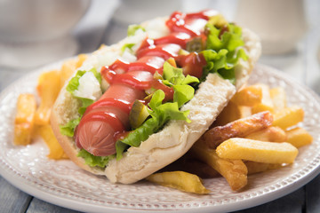 Classic american hot dog