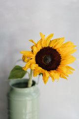 beautiful sunflower flowers in a vase on a table . Bouquet of yellow flower. Decoration of home. Wallpaper and background. Vertical photo