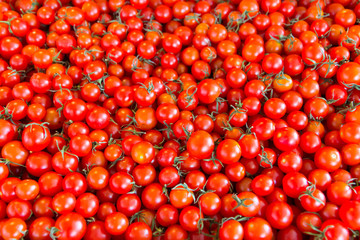 fresh small tomatoes background and texture.