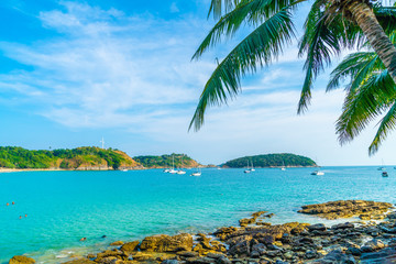 Naklejka na ściany i meble Beautiful tropical beach and sea with coconut palm tree in paradise island