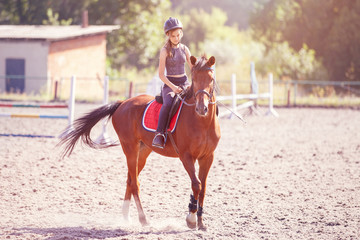 Young teenage girl riding her horse at the training on summer day