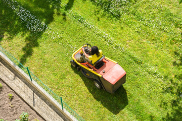 View from above of a black male gardener mowing the lawn dotted with daisies on a riding mower along the fence of a garden.