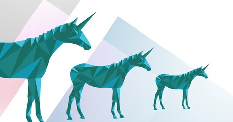 Minimal unicorns in perspective view