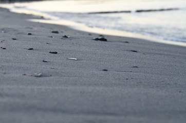 Steine im Sand am Strand in der Gischt