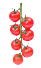 Fresh tomato