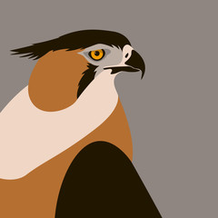 eagle   vector illustration flat style profile side