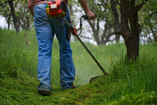 Gardener mowing grass by brushcutter in garden 