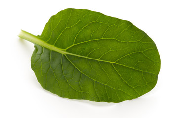 Obraz premium Spinach leaves close up isolated on white.