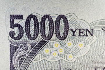 五千円札　ロゴ
