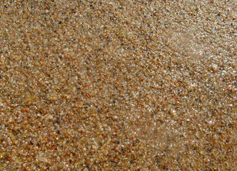 the sand on the beach under water, deserted beach lake, summer, sunlight on the sand