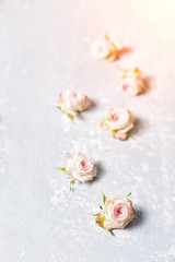 Obraz na płótnie Canvas Close up of little pink roses