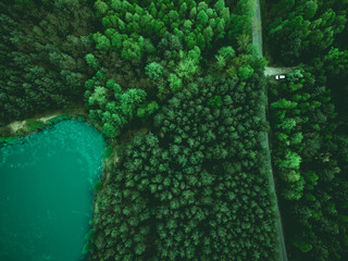 Aerial view on forest and car parked on road
