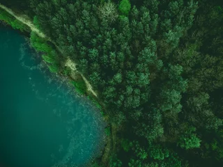 Foto op Aluminium Wild pond curve with forest border,aerial from above © marcin jucha