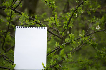 The notepad stands on a branch. Closeup. Copy space.