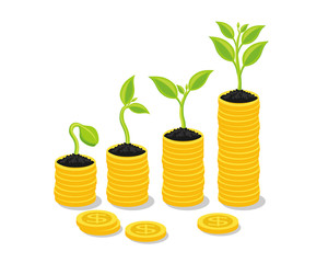 Plant Growing In Savings Coins - Investment And Interest Concept, Business investment growth concept, with stack money coin