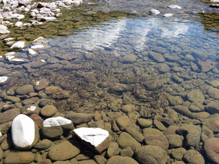 Clear water in river with a lot of fish underwater. Wild nature background. Lake bottom.