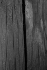 Naklejka premium wood