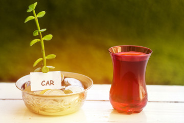 plant growing out of algeria coins in silver bowl car money saving concept and drinking an arabic tea