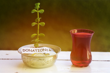 plant growing out of algeria coins in silver bowl donations money saving concept and drinking an arabic tea