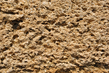 Crimean coquina rock close up texture background