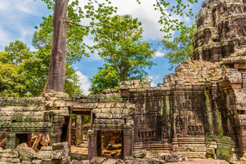 Interesting view of the inner wall and part of the corner tower of the Banteay Kdei temple in Angkor. Ancient construction stones are lying on the ground and a big tree grew behind the wall ruins.