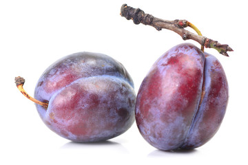 Plum fruit