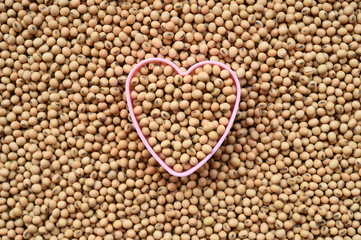 close up of soy bean for background