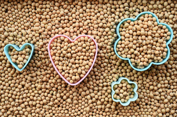 close up of soy bean for background