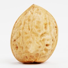 Fototapeta premium Realistic 3D Render of Walnut