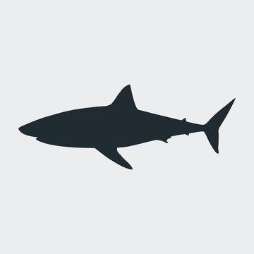 Icono plano silueta tiburon blanco en fondo gris