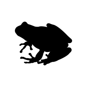 Icono plano silueta rana en color negro