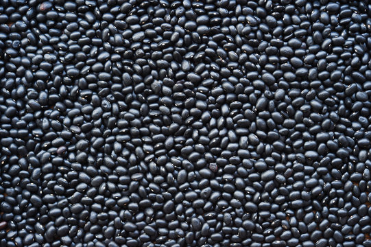 close up of black beans for background