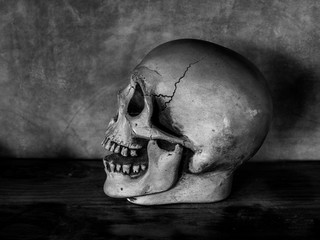 Obraz premium Skull Head