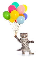 Fotobehang Dieren met ballon Dansende kat met verjaardagsfeestje ballonnen geïsoleerd