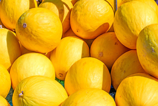 Honig-Melonen &ndash; Cucumis melo Hintergrund