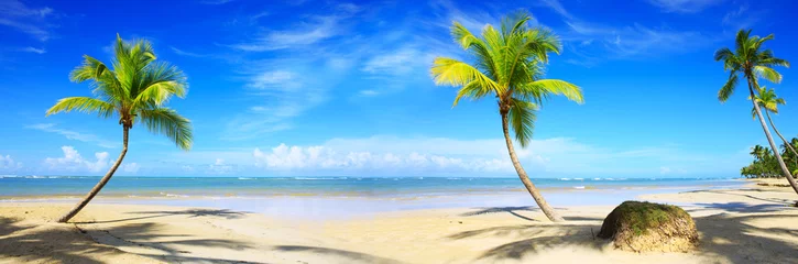 Keuken spatwand met foto Caribisch strand met palmbomen en blauwe lucht. © Swetlana Wall