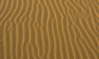 Fototapeta na wymiar Close up of sandy beach