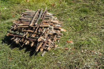 A stack of chopped firewood on a sunny summer day