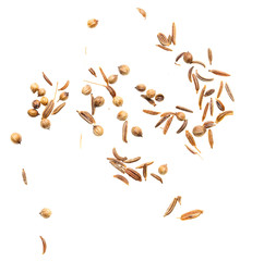 Fototapeta na wymiar Sesame seeds with bread on white background