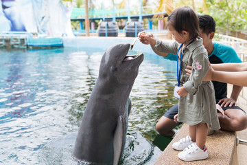 Asian cute baby girl feeding small fish on your hand for dolphin jumping eatting in the aquarium.