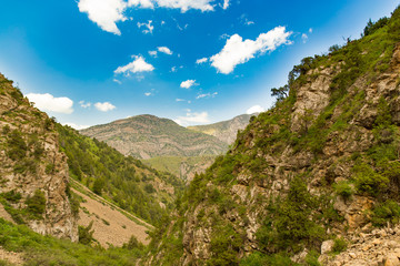 Naklejka premium Beautiful nature in the Himalayas in spring