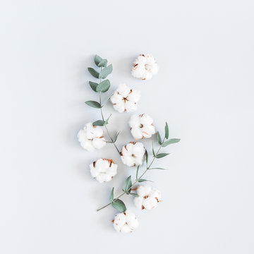 Flowers composition. Pattern made of cotton flowers and eucalyptus branches on pastel blue background. Flat lay, top view, square