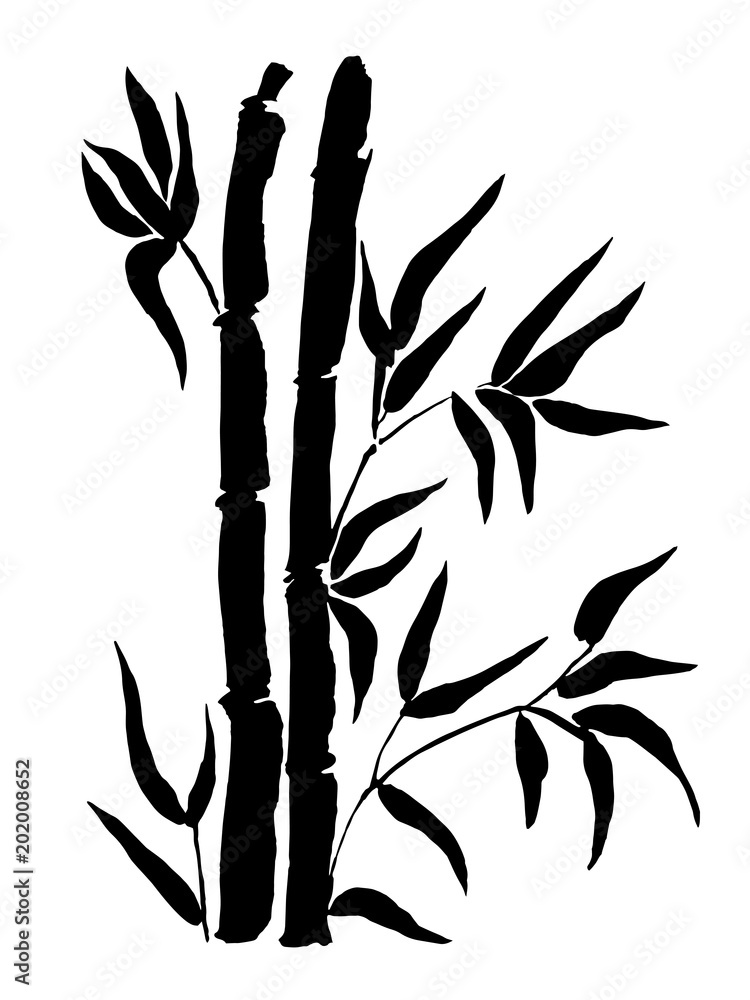 Wall mural bamboo leaf background. the top of the bamboo.